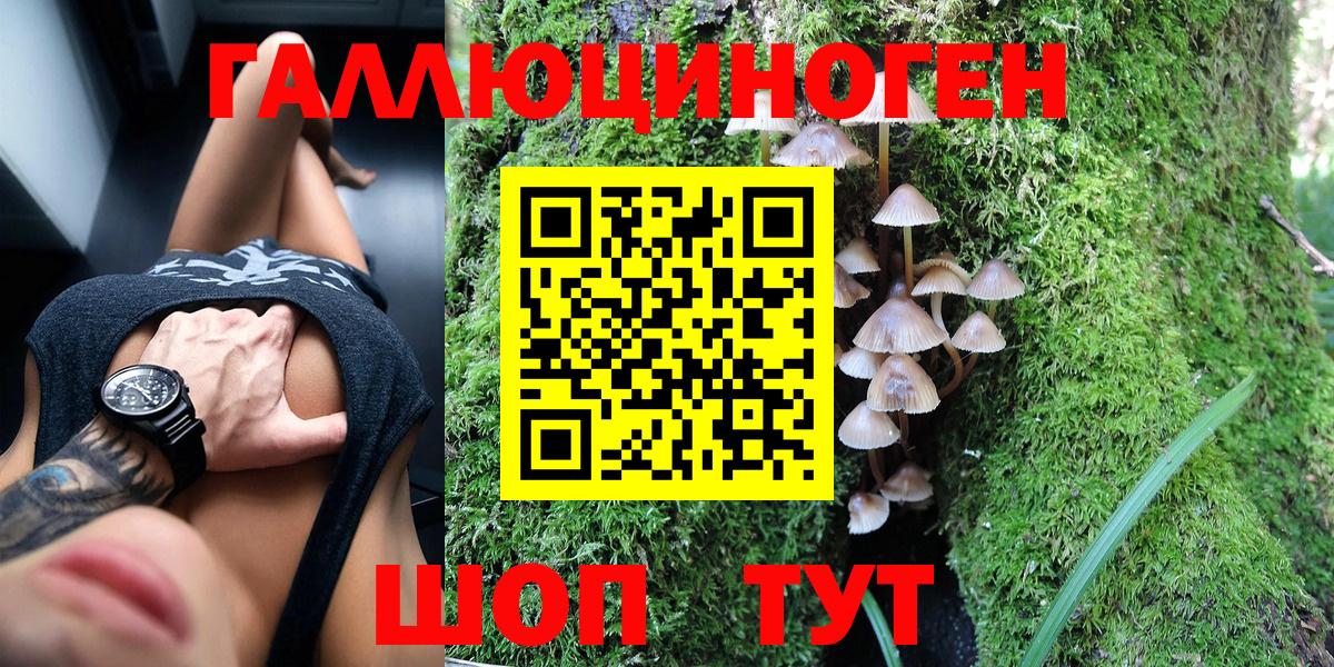 магазин    Галлюциногенные грибы Psilocybine cubensis  Богданович  Вход с VPN  Псилоцибиновые грибы Cubensis 