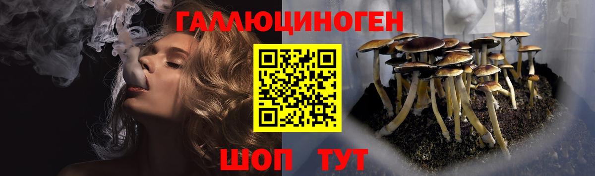 Галлюциногенные грибы ЛСД Богданович
