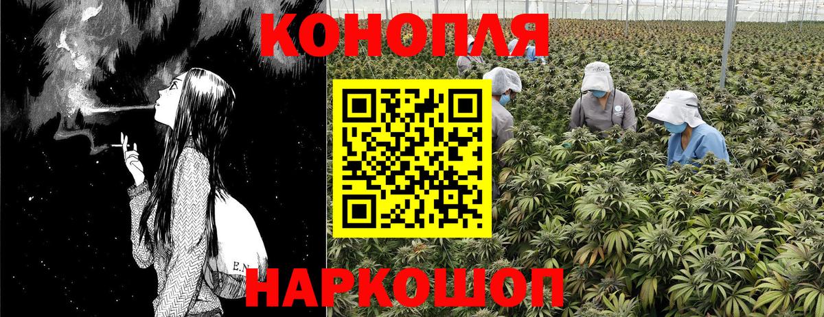 Шишки марихуана семена  Бошки марихуана сатива  Богданович  Вход с VPN  Канабис индика  Конопля индика 